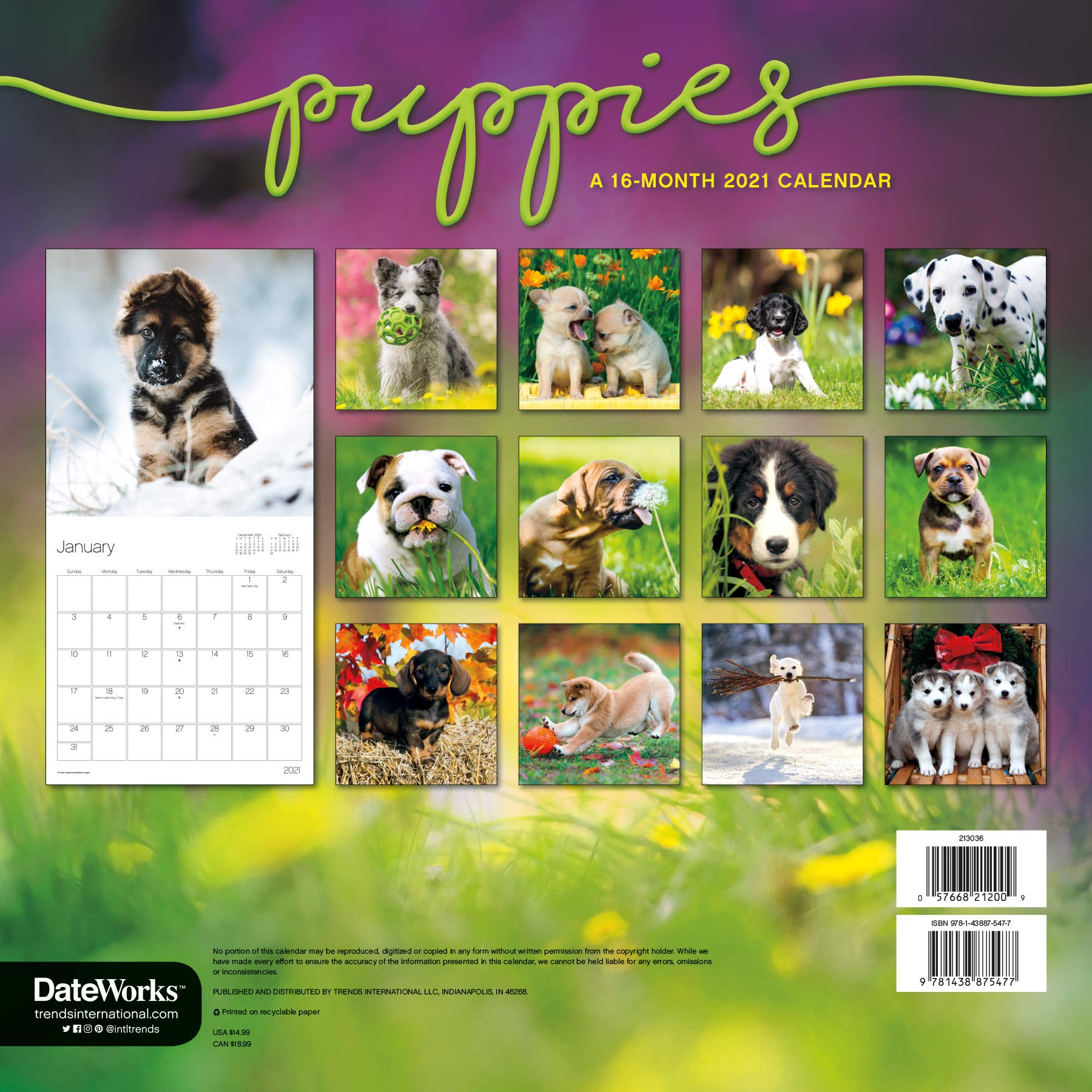 2021 Puppies Wall Calendar Calendar ecalendarcurbside