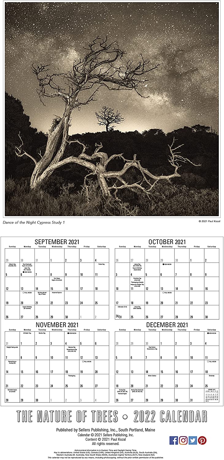 The Nature of Trees Wall Calendar 2022 16 Month — The Photography of